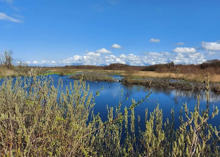 Vacationclub - Olympic Park C602 Lägenhet